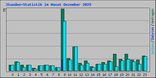 Stunden-Statistik im Monat Dezember 2025