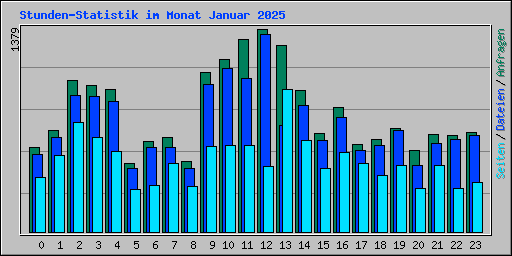 Stunden-Statistik im Monat Januar 2025