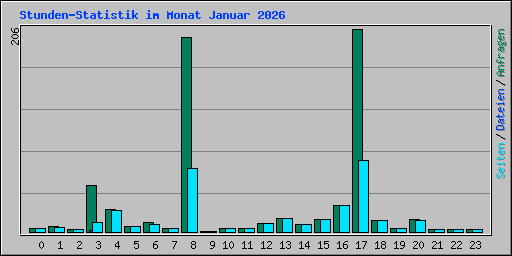 Stunden-Statistik im Monat Januar 2026
