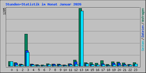 Stunden-Statistik im Monat Januar 2026