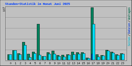 Stunden-Statistik im Monat Juni 2025