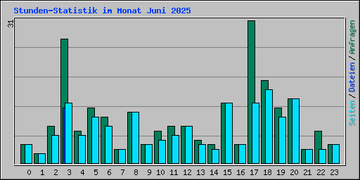 Stunden-Statistik im Monat Juni 2025