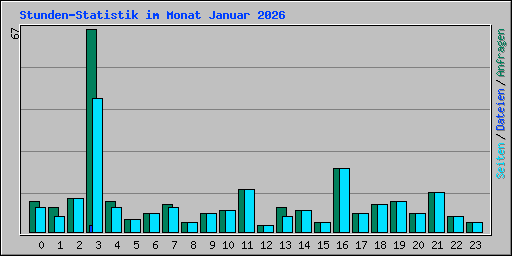 Stunden-Statistik im Monat Januar 2026