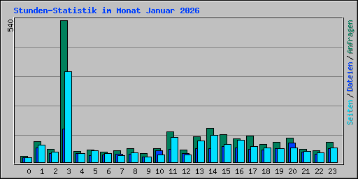 Stunden-Statistik im Monat Januar 2026