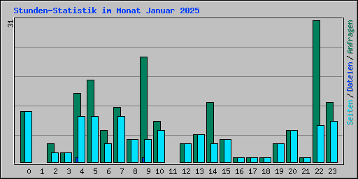 Stunden-Statistik im Monat Januar 2025