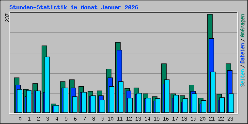 Stunden-Statistik im Monat Januar 2026